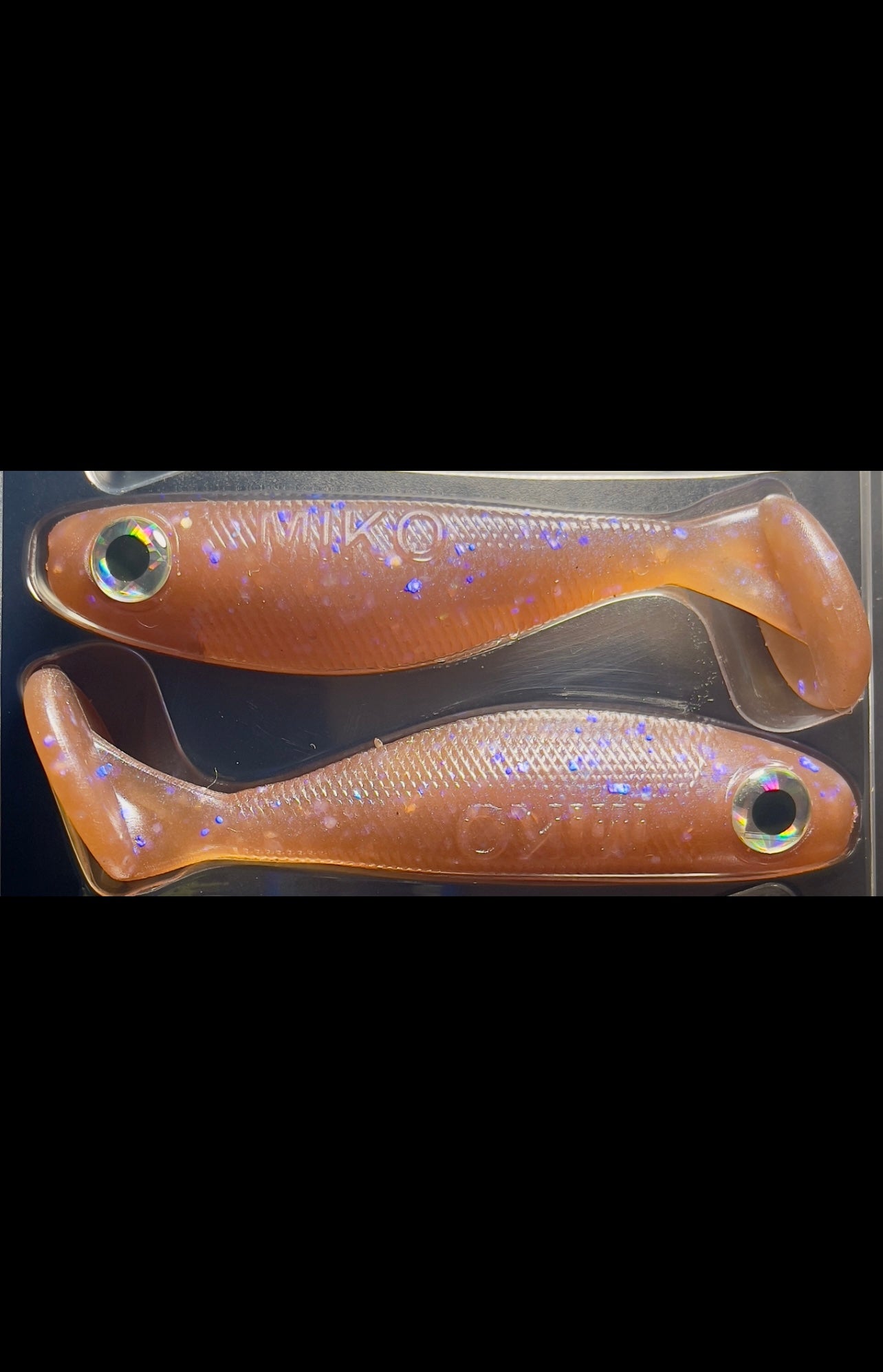 2.5” Electric Swamp
