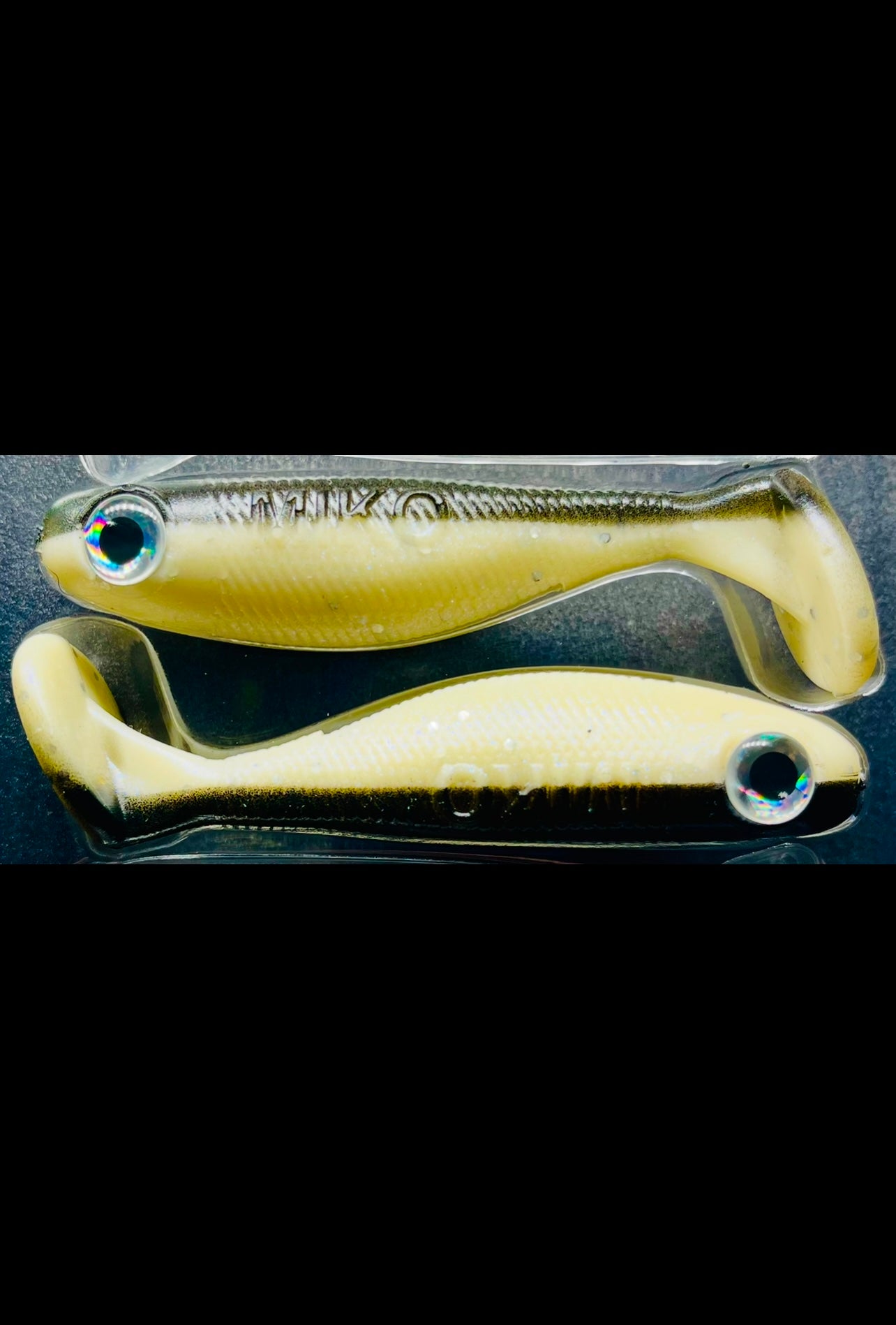 Green Mullet