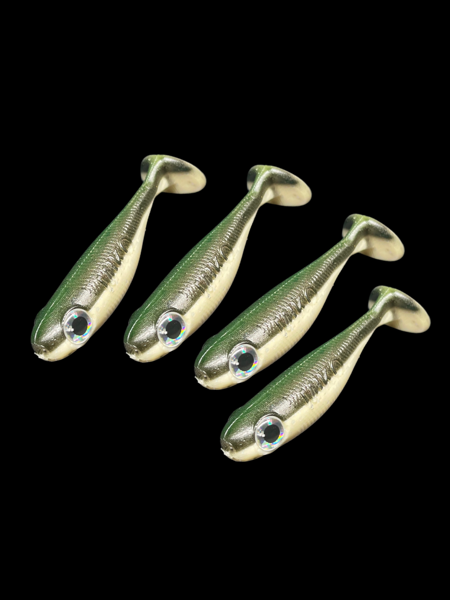 Green Mullet