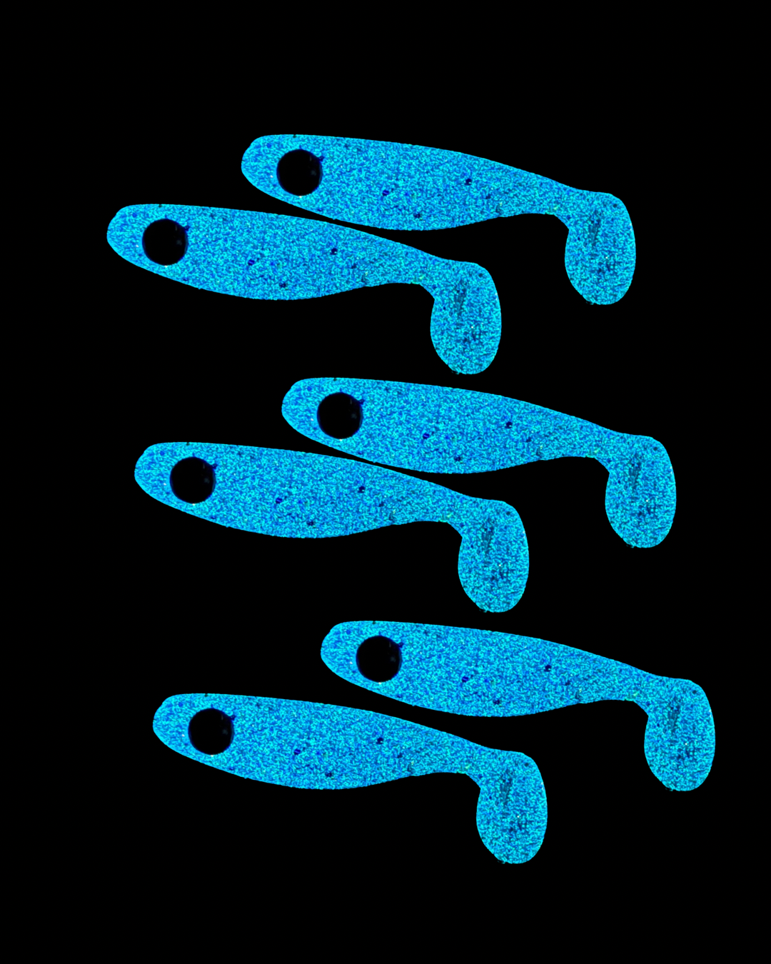 Midnight Shiner (Limited Batch)