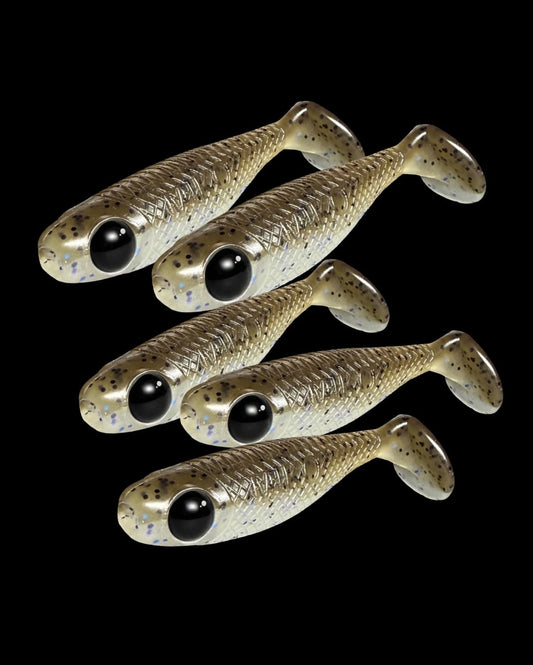 Stellar Shad